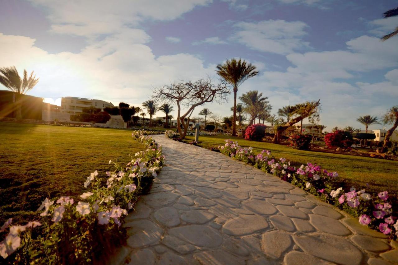 Resort Aurora Oriental Sheikh Sharm-el-Sheikh